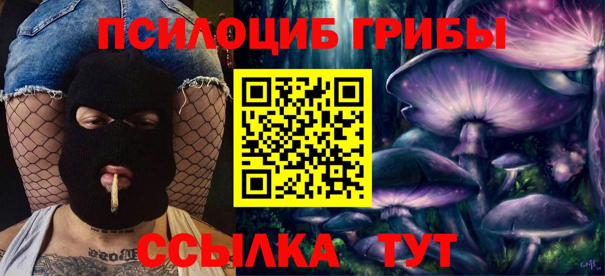Галлюциногенные грибы Psilocybe  Вход с VPN  наркошоп  Камышлов 