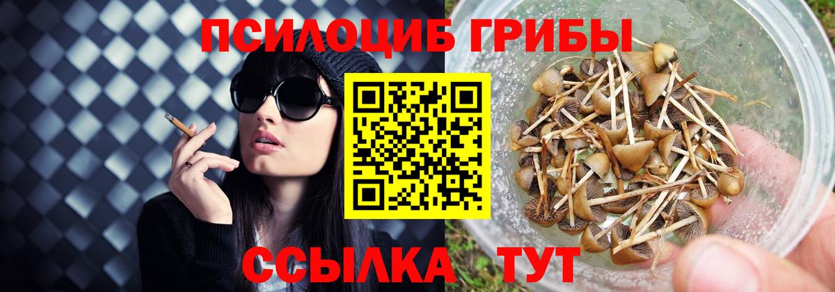 Псилоцибиновые грибы мухоморы Камышлов