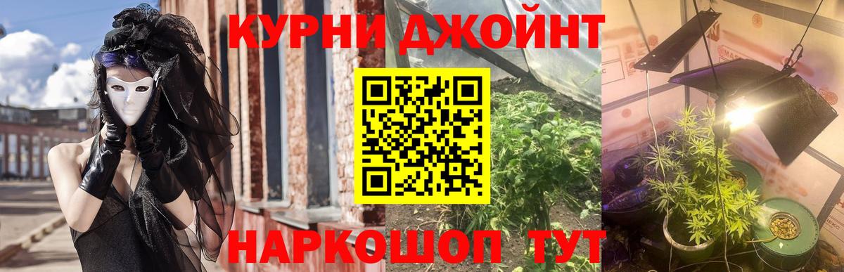 Камышлов  Бошки Шишки семена  Бошки Шишки семена  Бошки Шишки THC 21%  Вход с VPN 